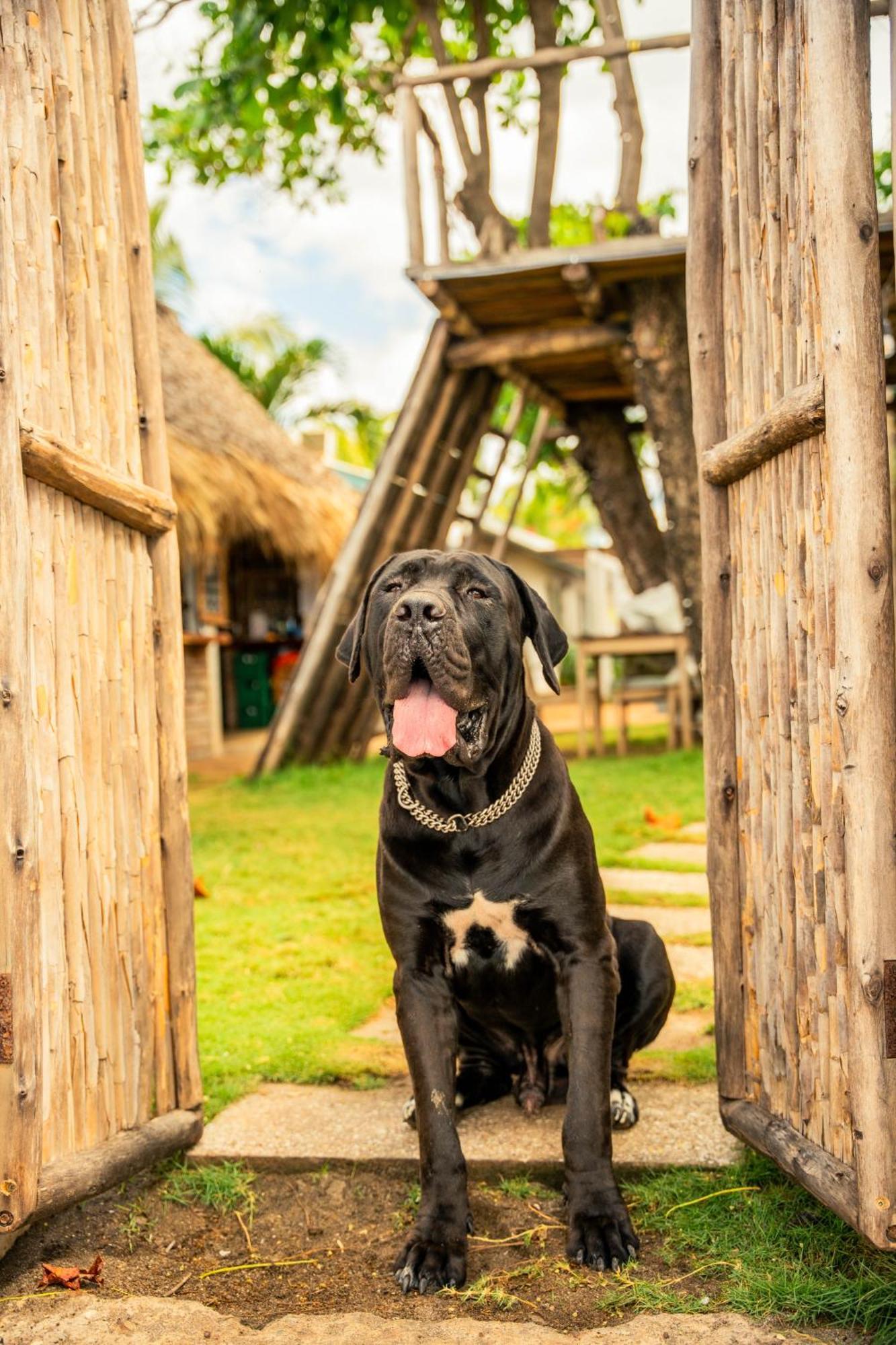 Las Peñitas Jakes On The Beach المظهر الخارجي الصورة
