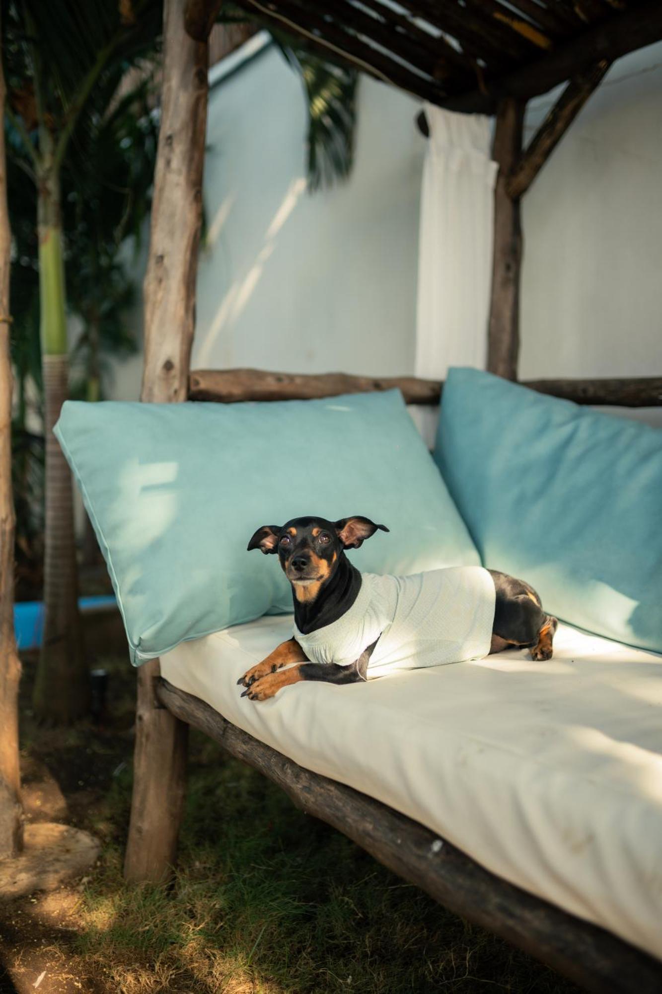 Las Peñitas Jakes On The Beach المظهر الخارجي الصورة